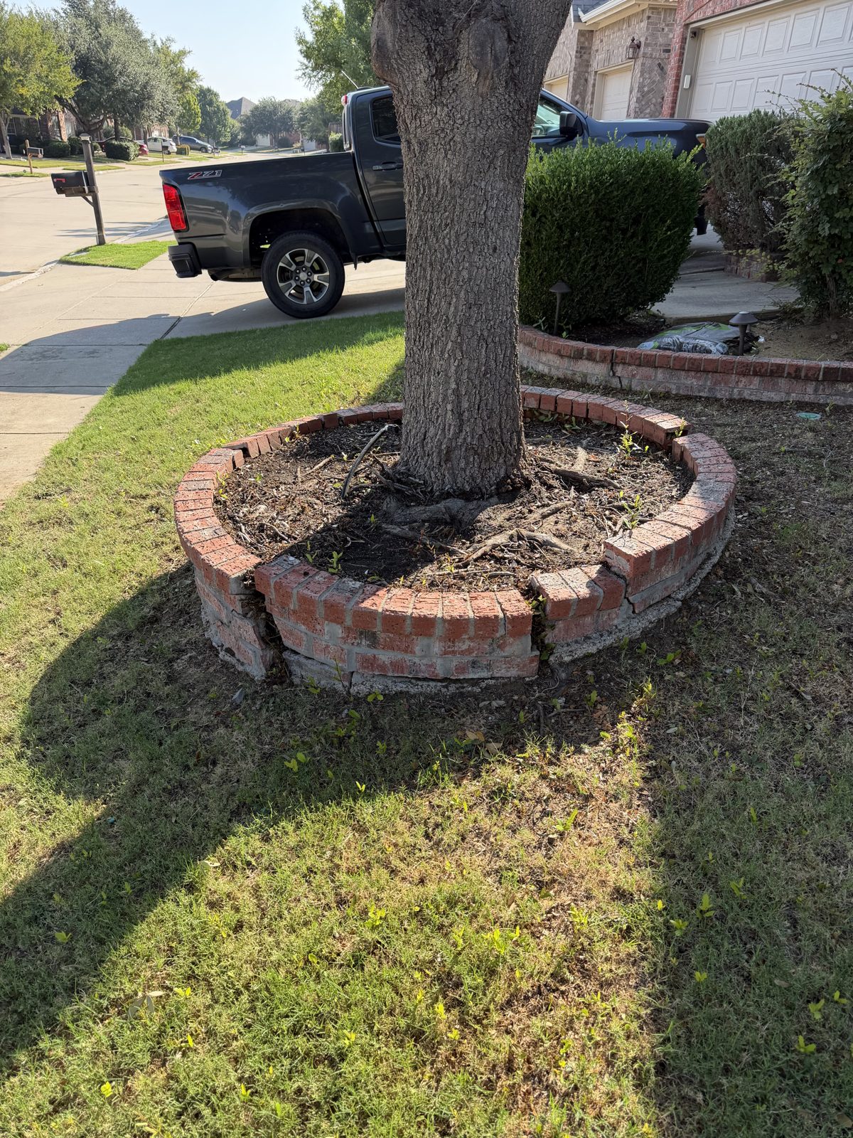 Brick tree ring stone work — before