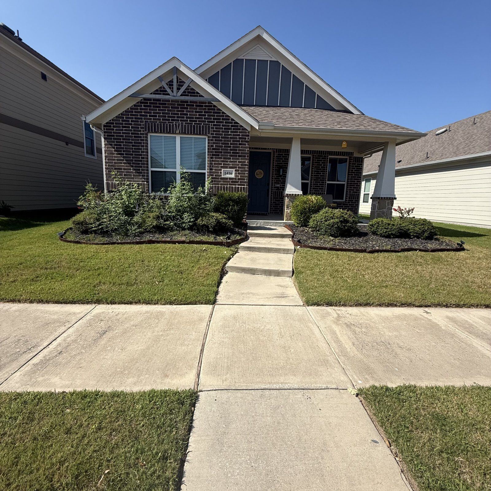 Backyard Improvements & Landscaping — before